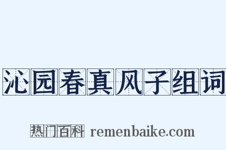 沁园春真风子组词是什么意思的图片